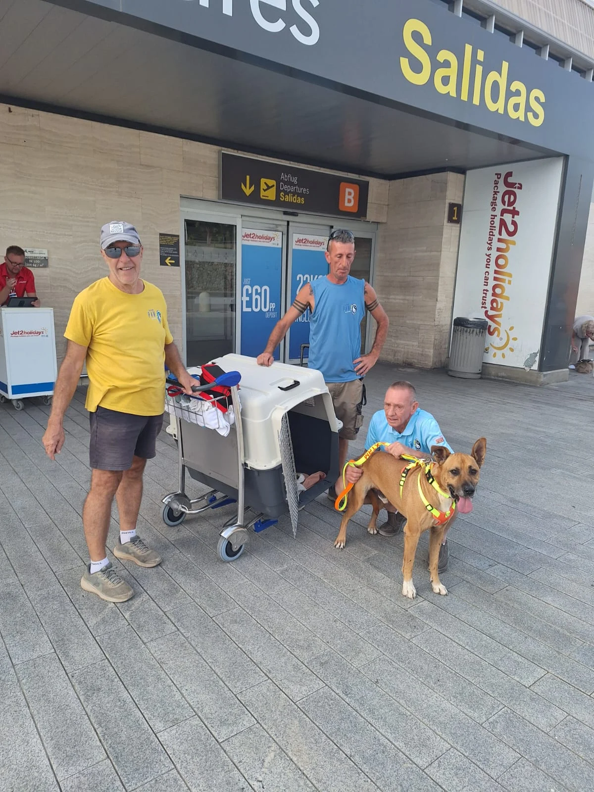 Whisky’s Journey to His Forever Home