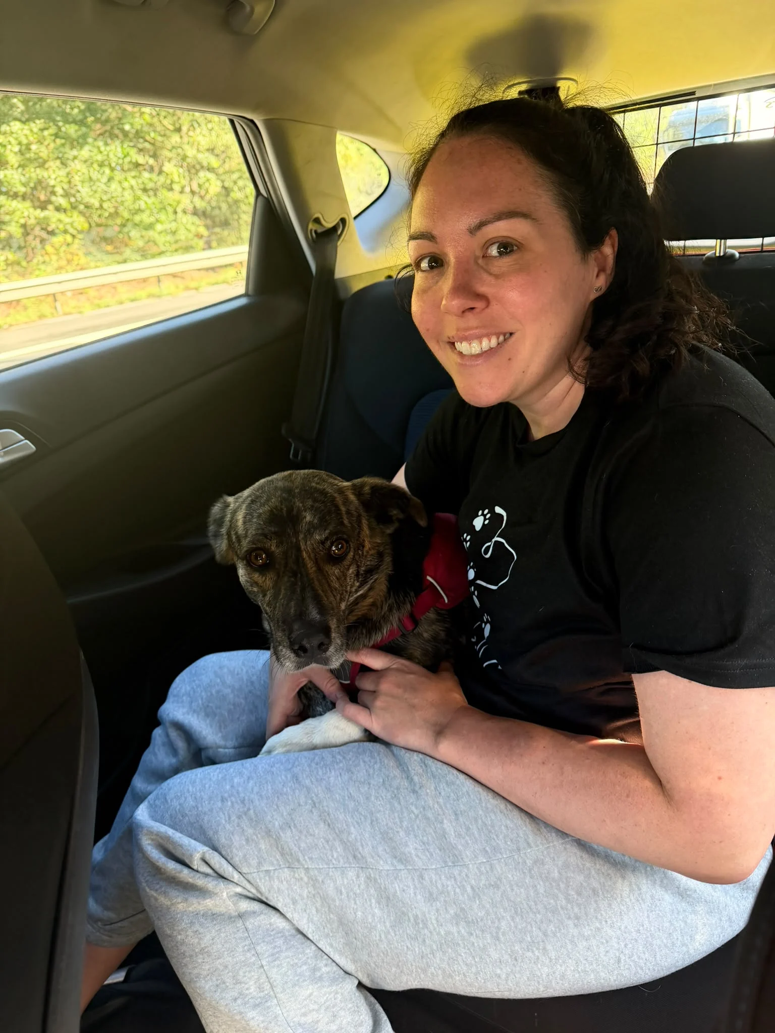 Nivaria Begins Her New Life in the UK