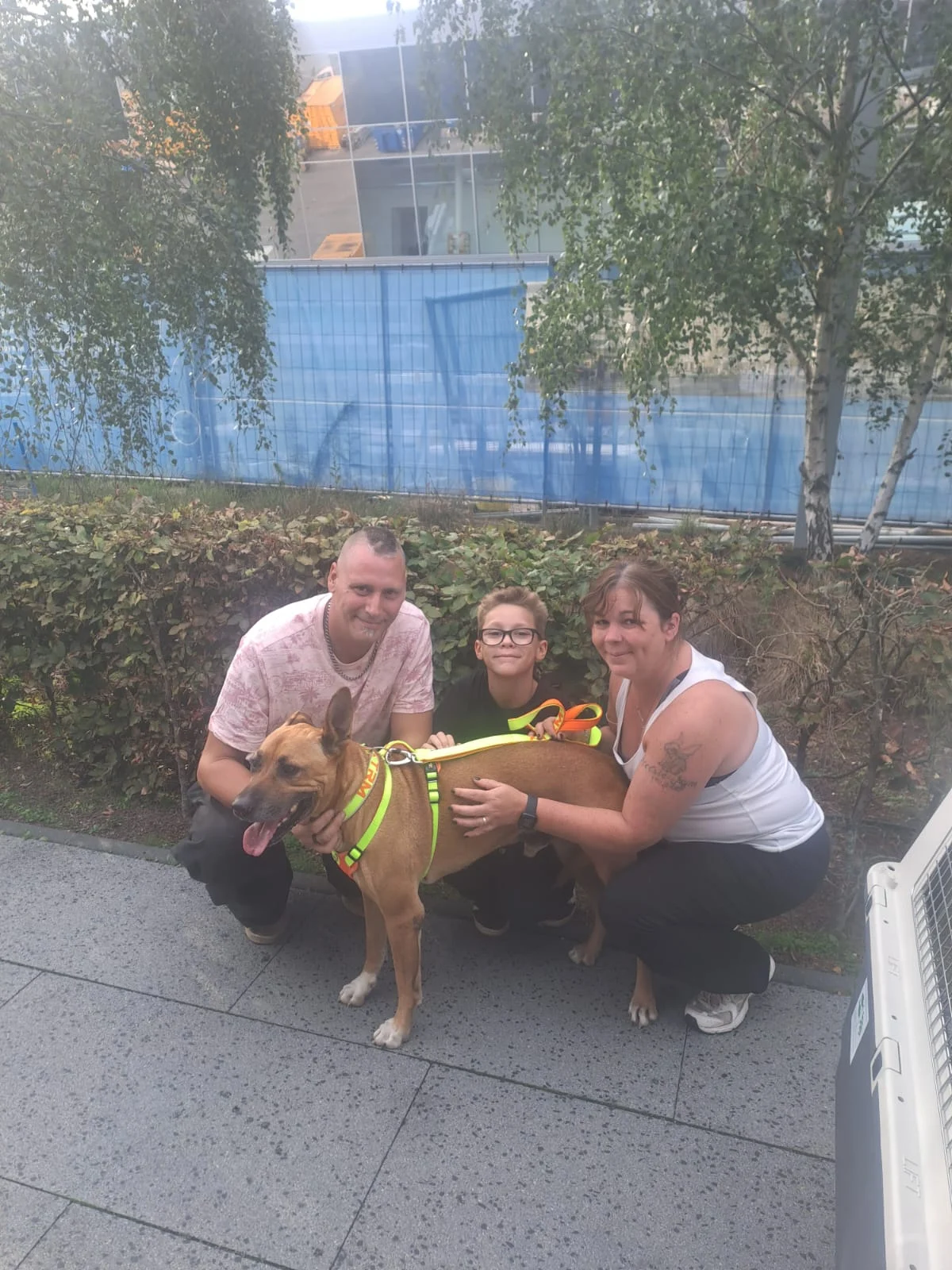 Whisky’s Journey to His Forever Home