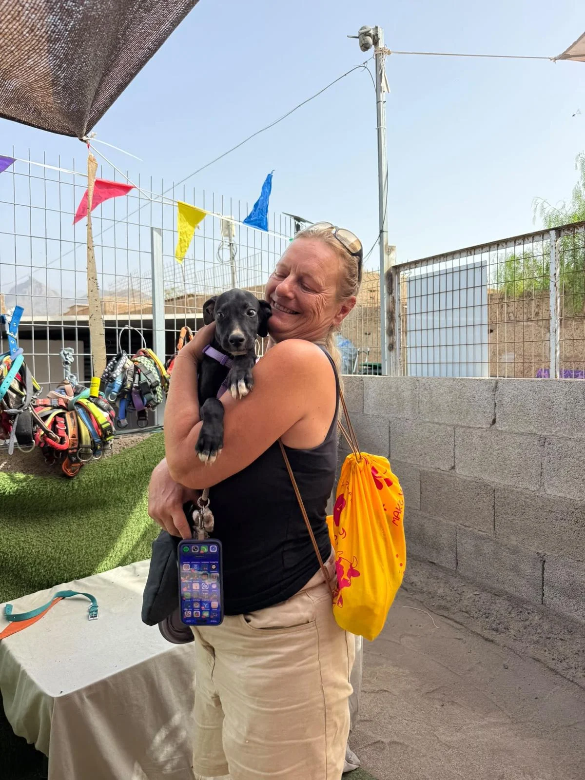 First Güimar Puppy Adopted