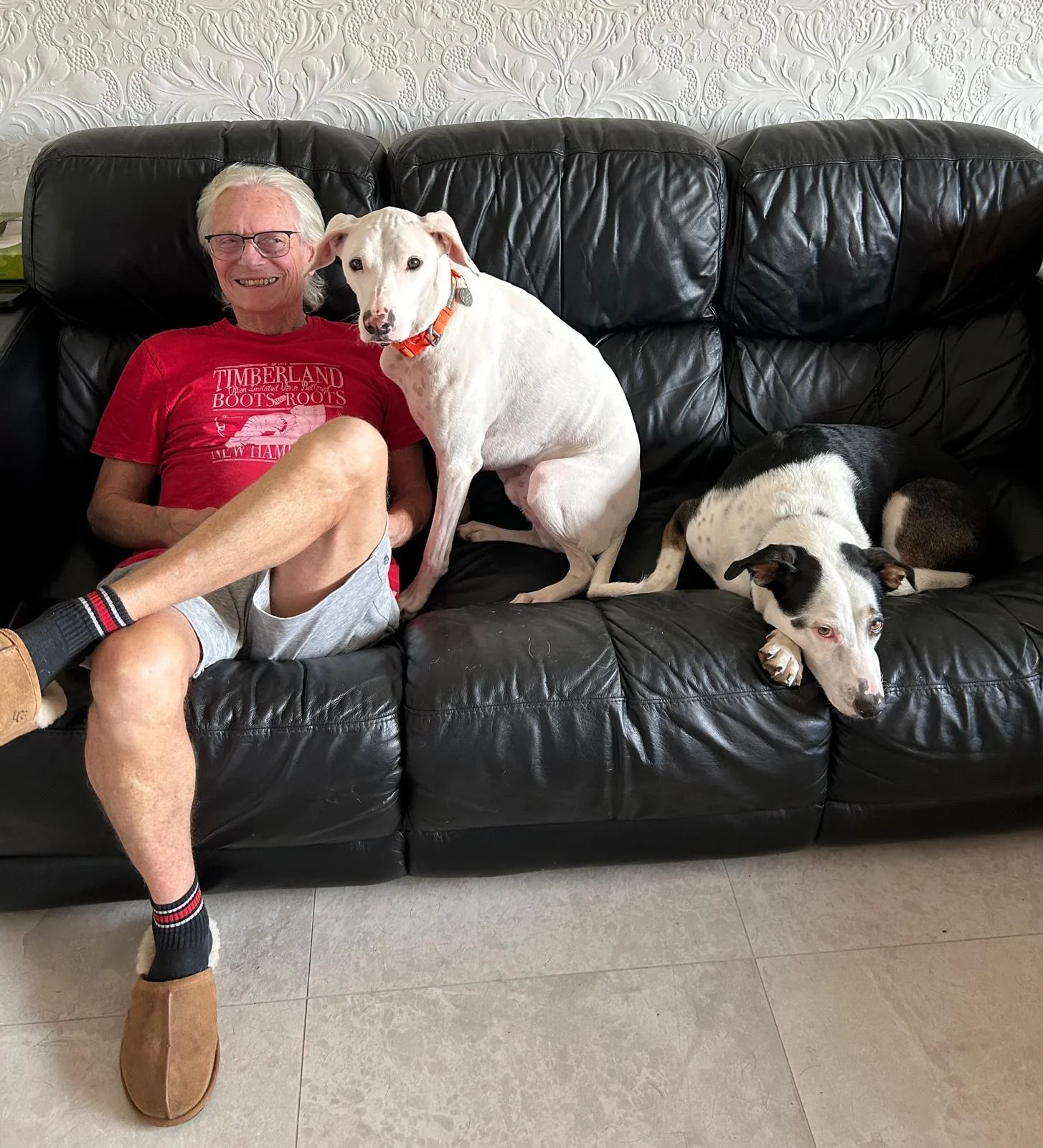 One Year In Their Forever Home