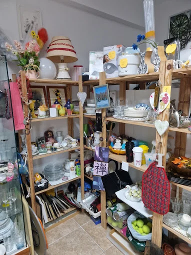 Live PAWS Charity Shop, Puerto Santiago