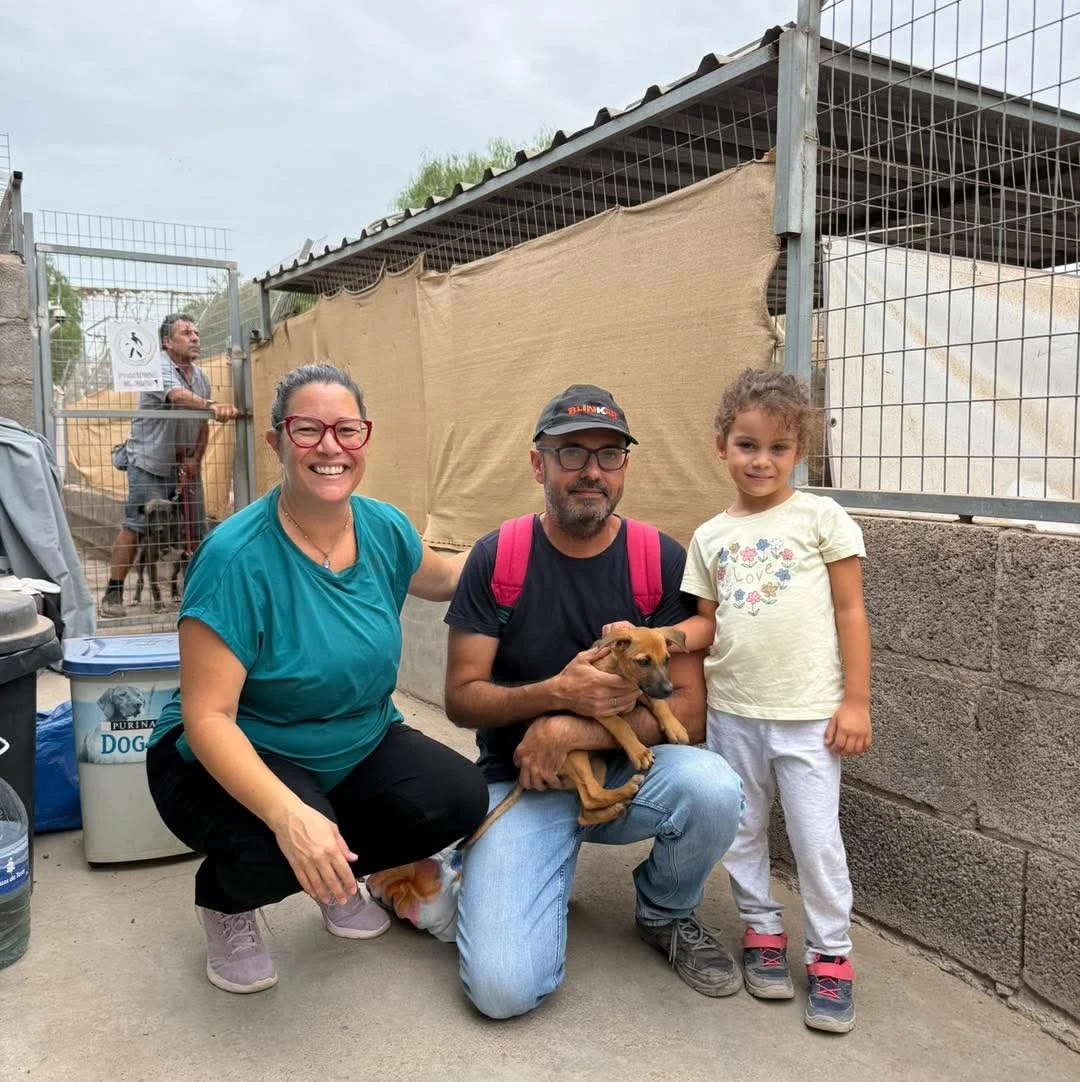 Two of the Isora Puppies Adopted