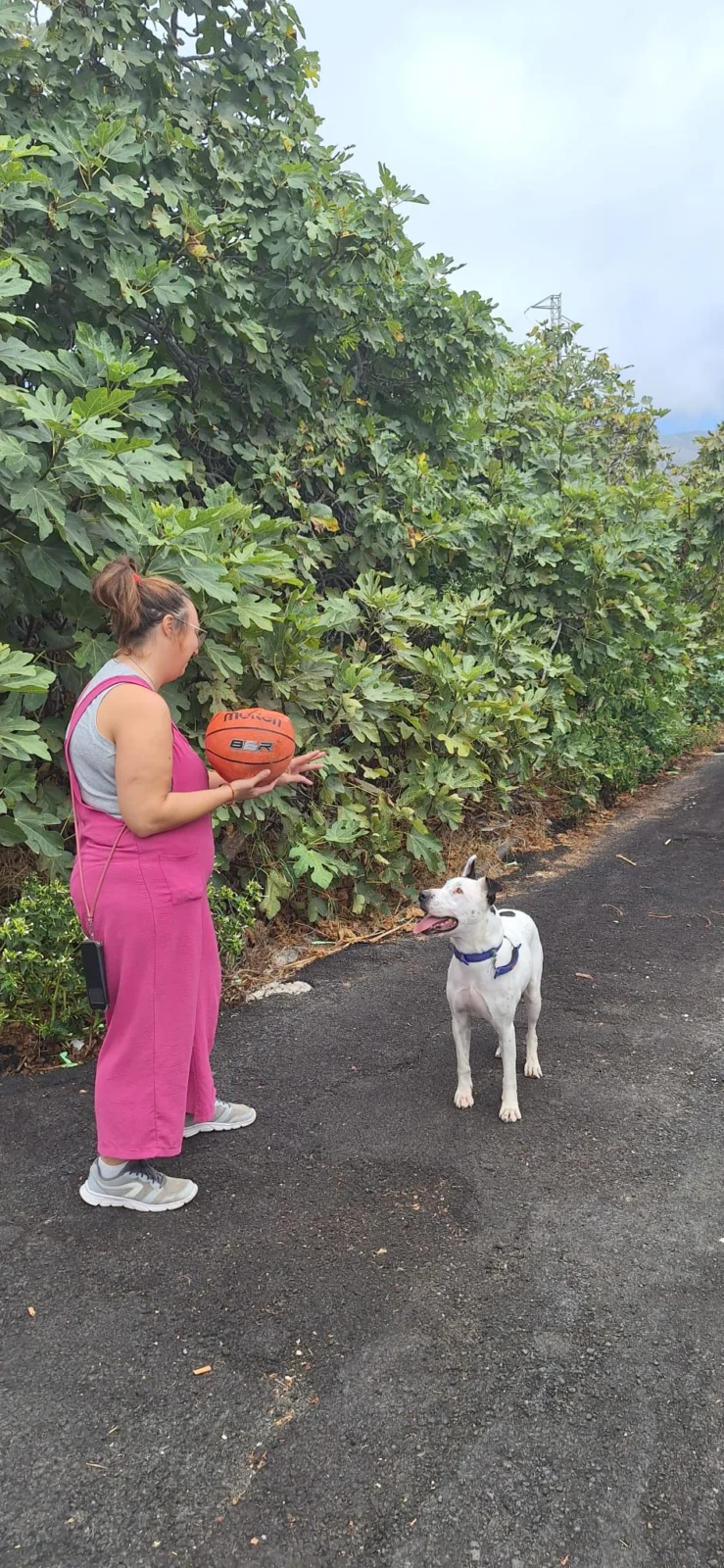 Patch Has Finally Found His Forever Home