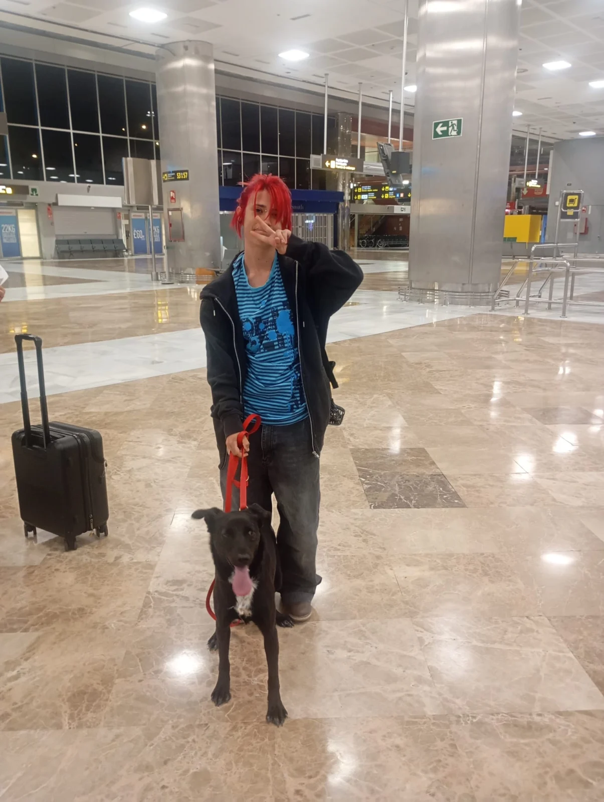 Alba Has Been Adopted!