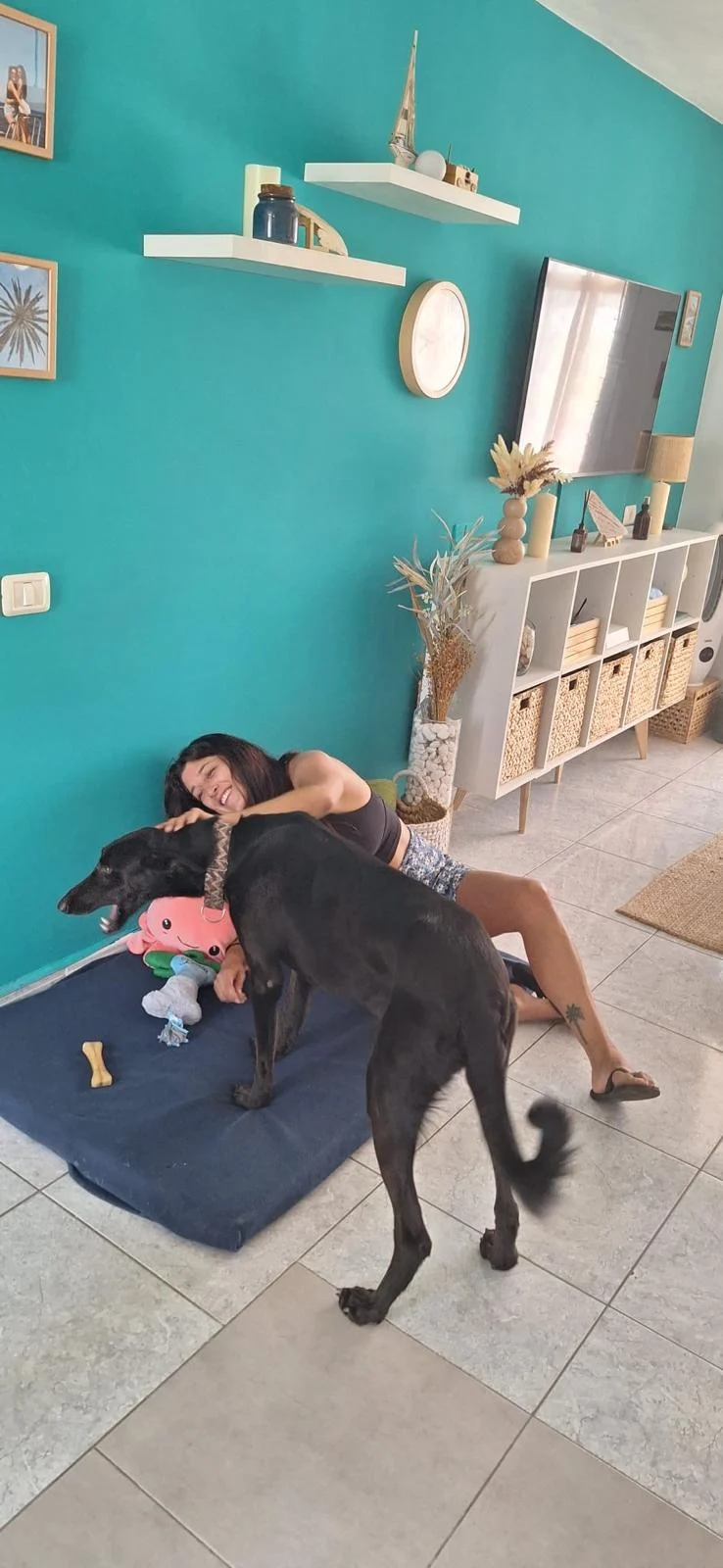 Tizón Settles into His New Foster Home