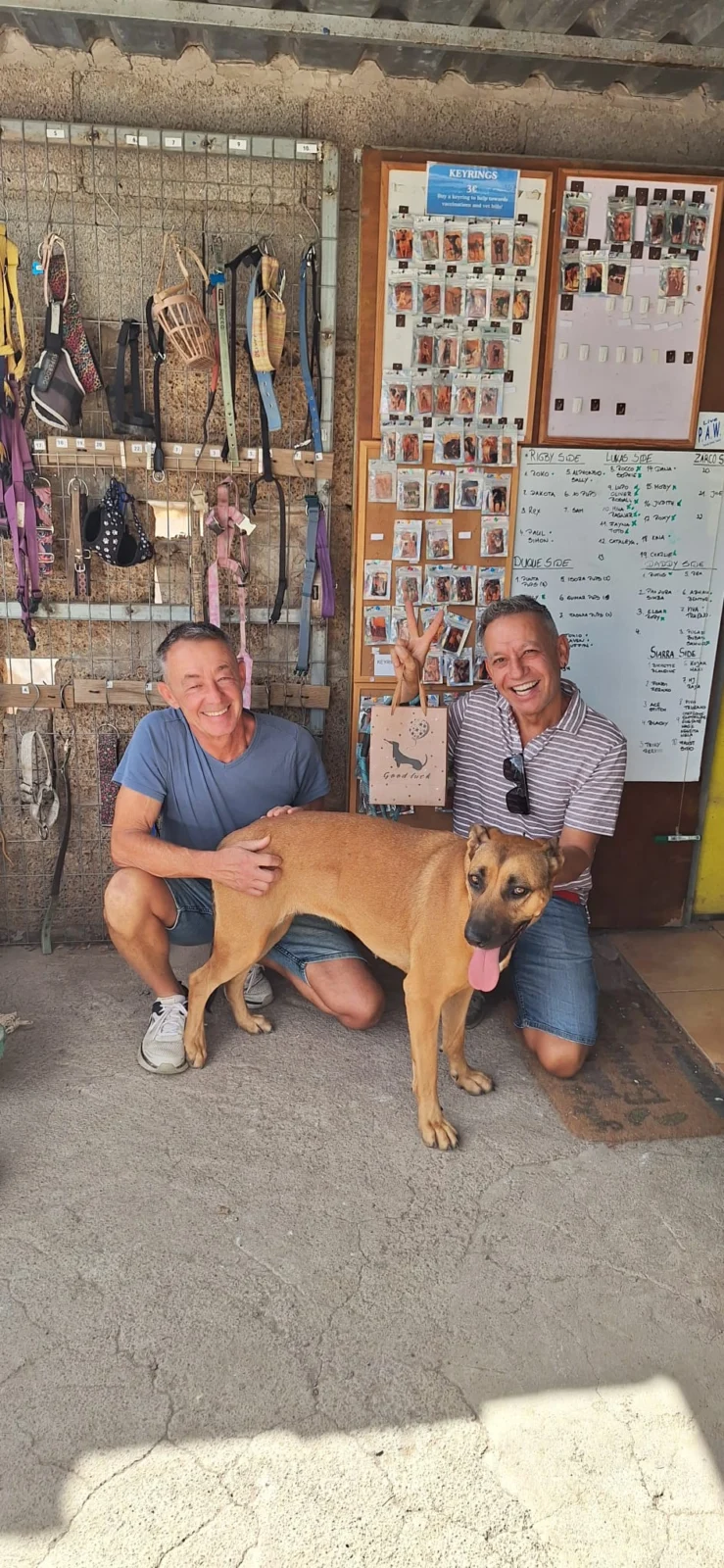 Deysy Has Found Her Forever Home!