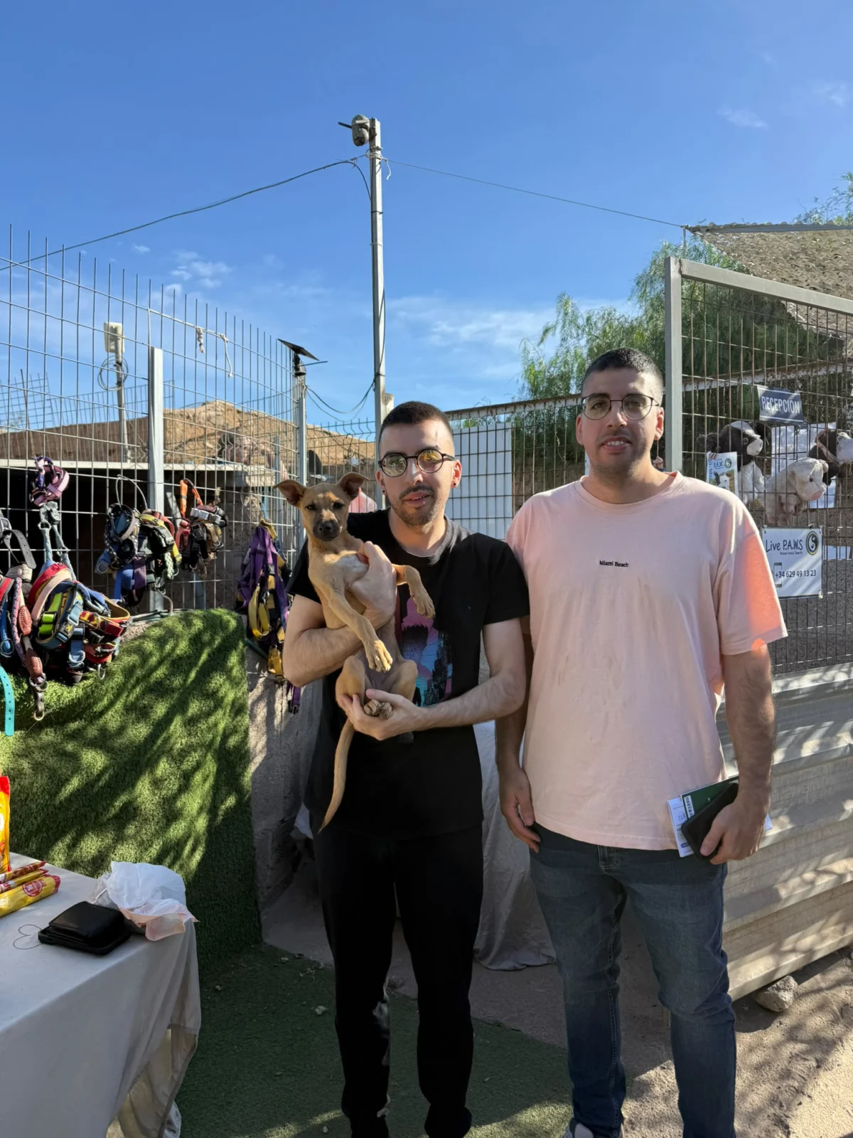 Freya Has Found Her Forever Home.