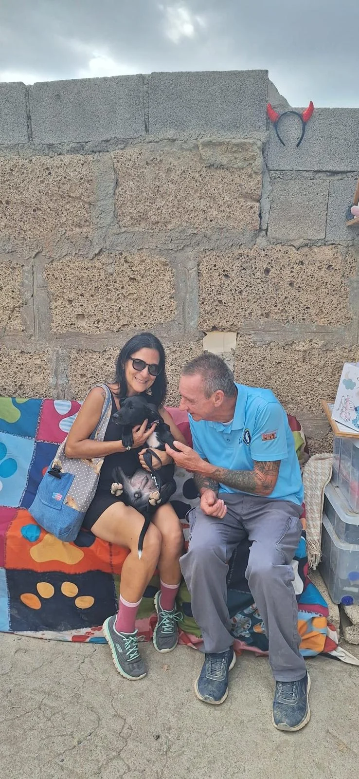 Comet Has Found His Forever Home