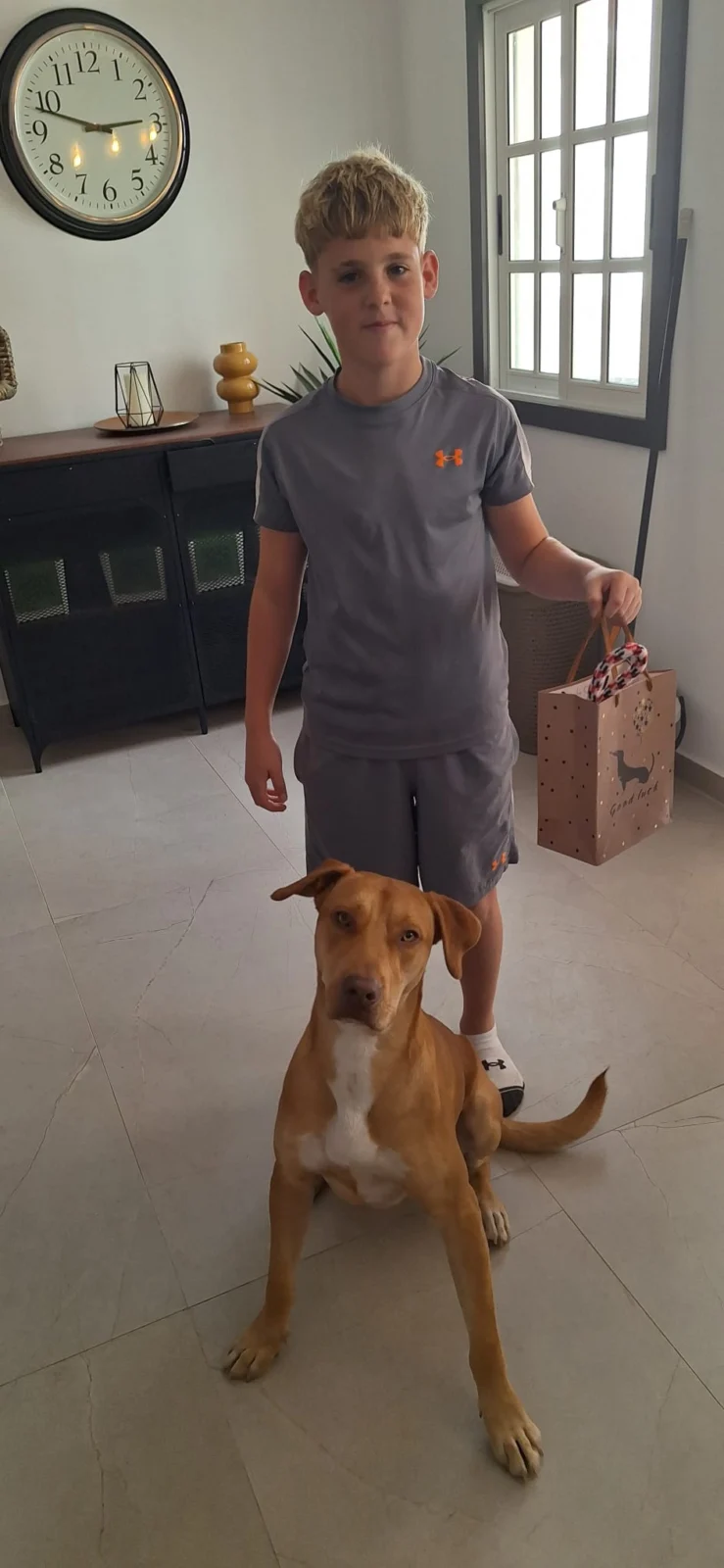 Locki Has Found His Forever Home