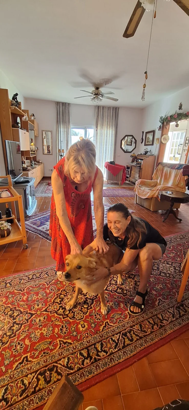 Max Has Been Adopted!