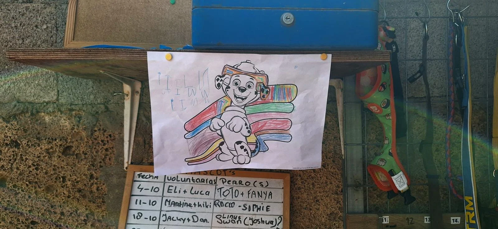 Little Artists, Big Love for Live PAWS!