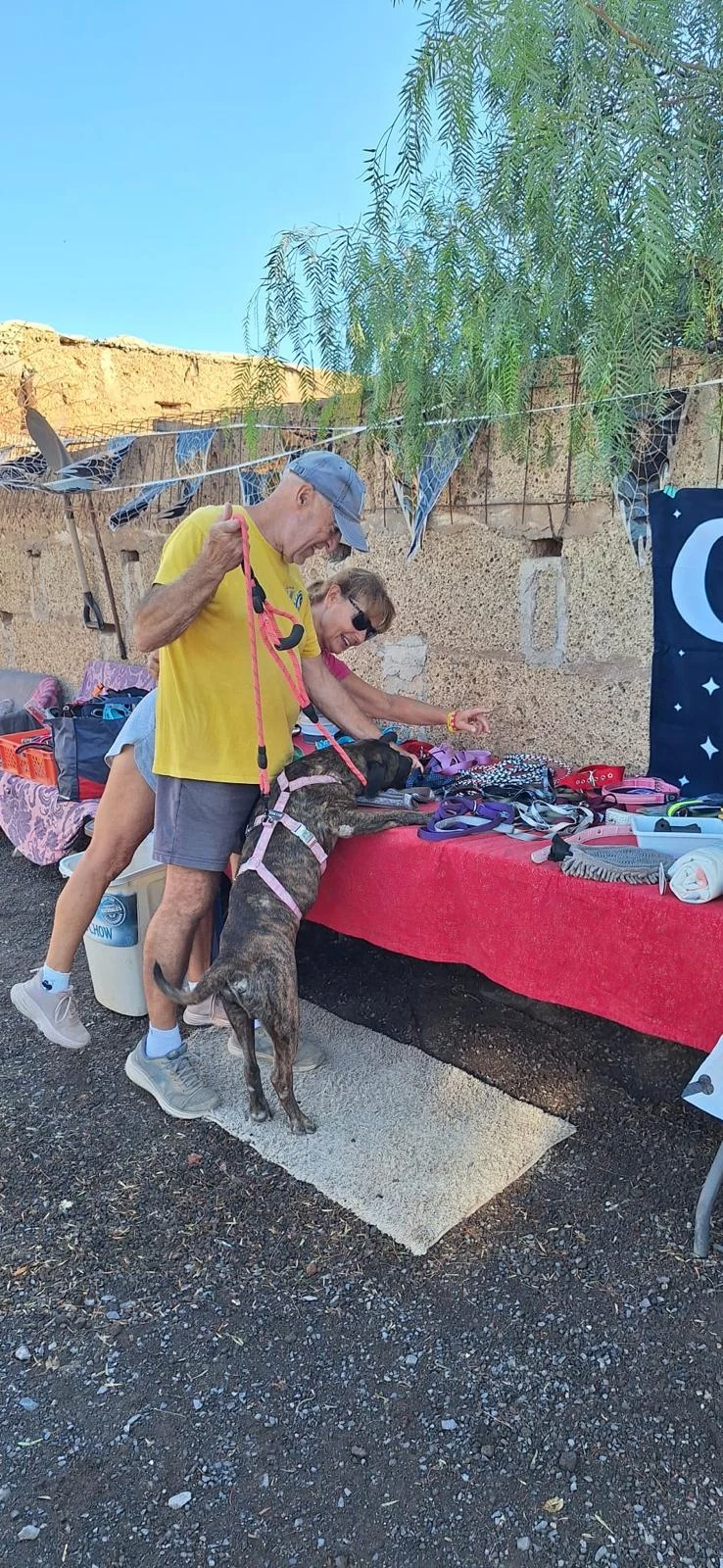 Our Live PAWS Stall Is Growing!