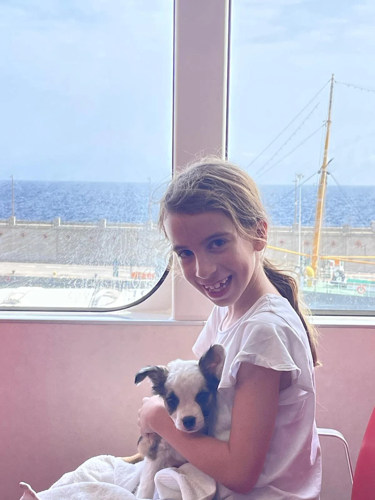LITTLE ALFREDO HAS BEEN ADOPTED!