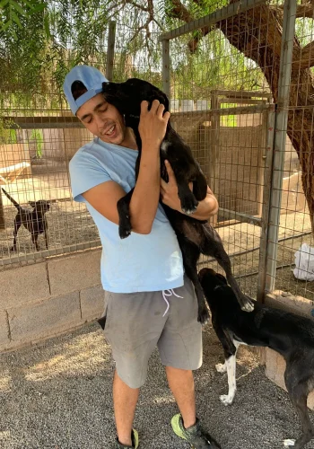 Live Paws flight chaperone programme