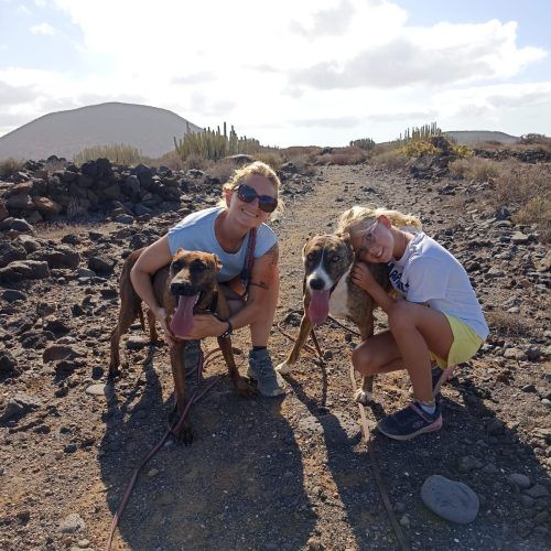 perros en adopcion tenerife 8